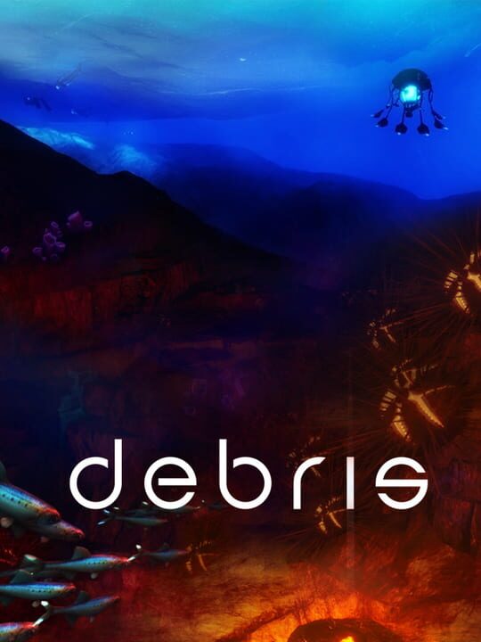 Debris