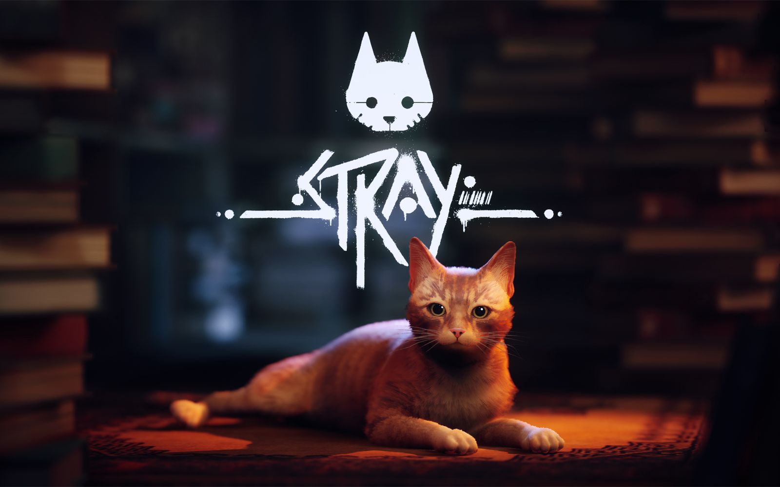 Stray magyarítás